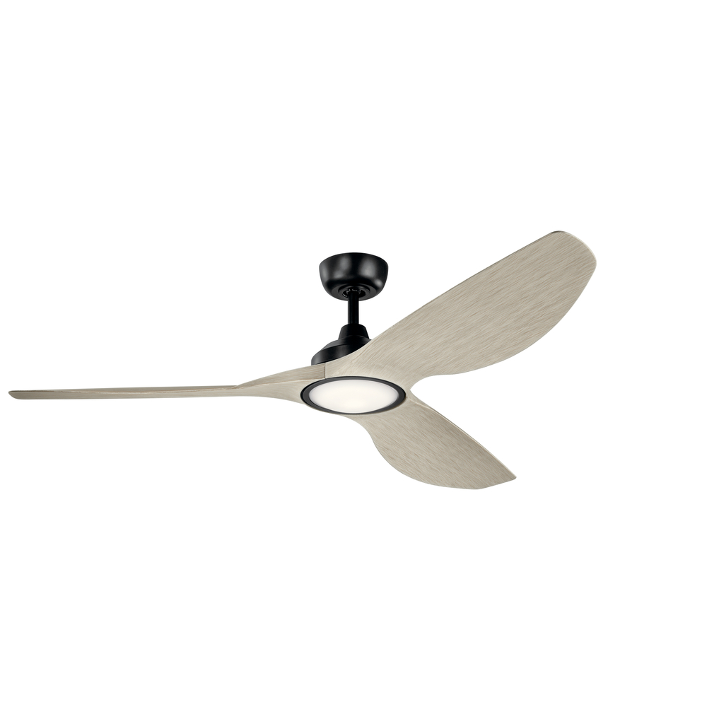 65 Inch Imari Fan