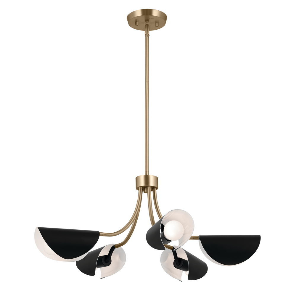Arcus 29.25 Inch 5 Light Convertible Chandelier in Champagne Bronze with Black