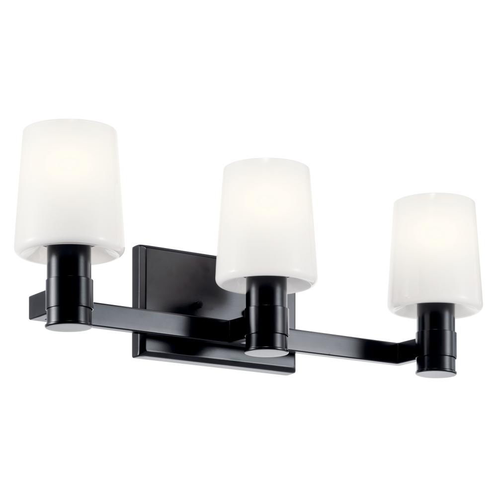 Adani 24 Inch 3 Light Vanity with Opal Glass in Black