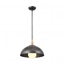 Kichler 52476AVI - Thera 14" 1 Light Pendant Anvil Iron