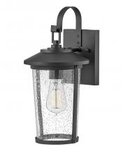 Lark 82020BK - Medium Wall Mount Lantern