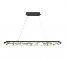 Lib & Co. US 12174-040 - Nettuno 60" Oval LED Chandelier, 
Painted Brushed Grey