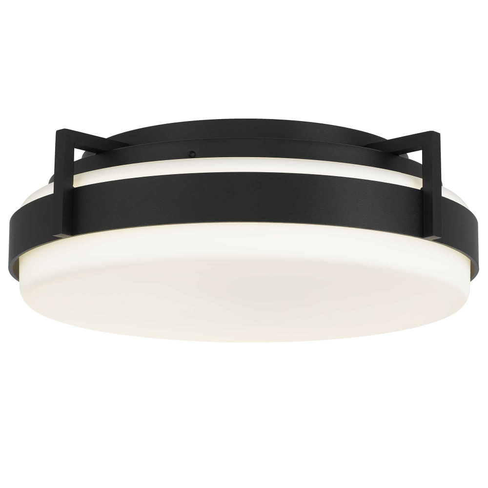 Ted LED Flush Mount D15