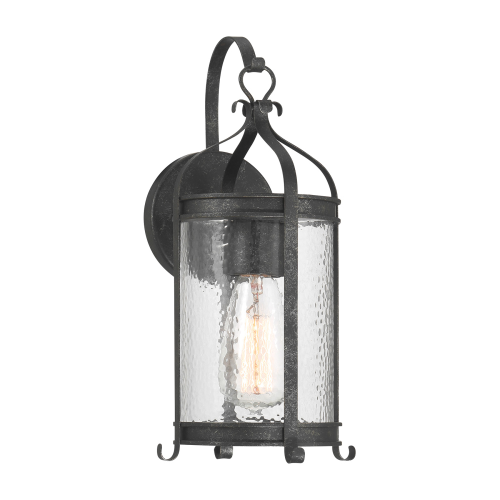 Preston 1-Light Outdoor Wall Lantern in Iron Oxide