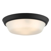 Progress P350304-031 - P350304-031 3-L 16IN FLUSHMOUNT