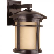 Progress P6085-20 - Wish Collection One-Light Medium Wall Lantern