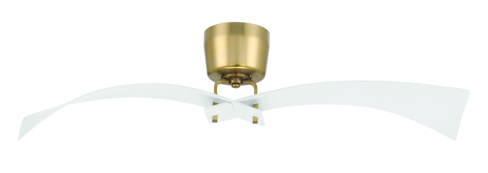 Tern 52" 2-Blade Ceiling Fan in White/Satin Brass w/ White Blades; Not Light Kit Adaptable