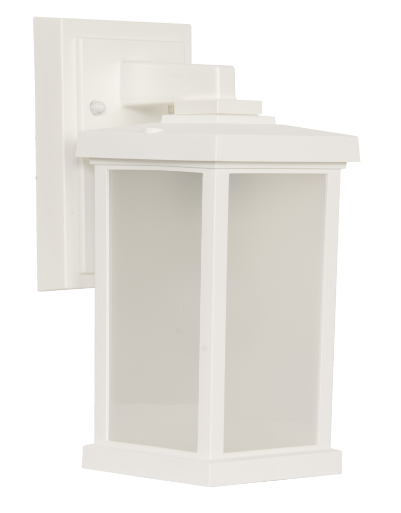 Resilience 1 Light Small Outdoor Wall Lantern in Textured White
