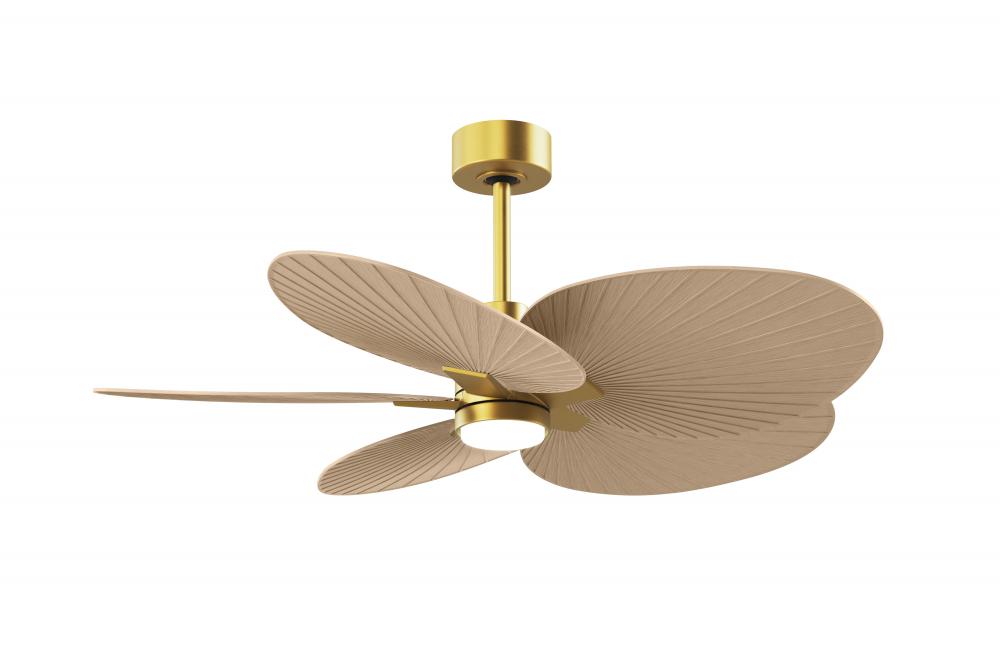Alessandra Tropical - LK - Brushed Brass - Light Maple Blades - 10" Downrod
