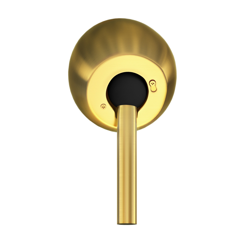 Atlas - Cathedral Ceiling Mount up to 60° - Brushed Brass