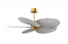 Matthews Fan Company AKTP-BRBR-BW - Alessandra Tropical - Brushed Brass - Barn Wood Tone Blades - 10" Downrod