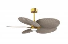 Matthews Fan Company AKTPLK-BRBR-GA - Alessandra Tropical - LK - Brushed Brass - Gray Ash Tone Blades - 10" Downrod