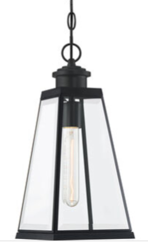 Paxton 1-Light Matte Black Outdoor Hanging Lantern