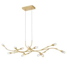 Quoizel PCCOR1250GFL - Cora Island Chandelier