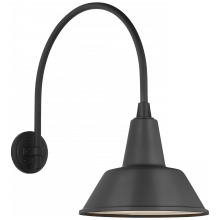 Visual Comfort & Co. Signature Collection TOB 2815MBK/S1-MBK - Academy 19.5" Arched Mack Barn Light