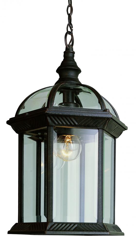 1LT HANGING LANTERN RT