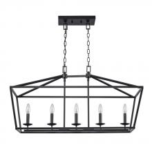 Trans Globe 10263 BK - 5LT PENDANT-BIRD CAGE-BK