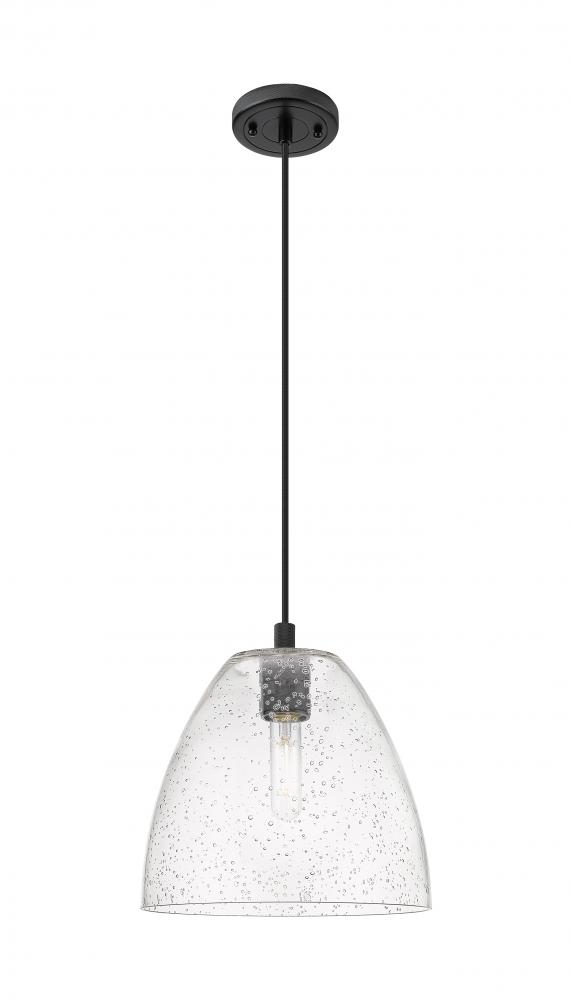 Crown Point - 1 Light - 9 inch - Matte Black - Pendant