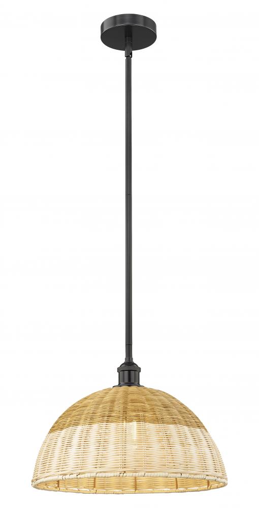 Bristol Natural II - 1 Light - 16 inch - Matte Black - Stem hung - Mini Pendant