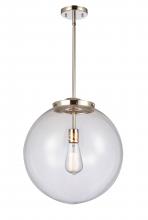 Innovations Lighting 221-1S-PN-G202-16 - Beacon - 1 Light - 16 inch - Polished Nickel - Stem Hung - Pendant