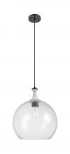 Innovations Lighting 415-1PR-BK-G124-14 - Astor - 1 Light - 14 inch - Matte Black - Cord hung - Pendant