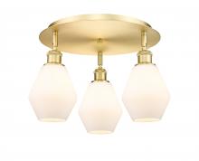 Innovations Lighting 516-3C-SG-G651-6 - Cindyrella - 3 Light - 18 inch - Satin Gold - Flush Mount