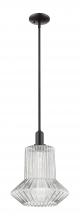 Innovations Lighting 716-1S-BK-G212 - Springwater - 1 Light - 12 inch - Matte Black - Stem hung - Mini Pendant
