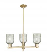 Innovations Lighting 716-3CR-CB-G259 - Caledonia - 3 Light - 27 inch - Champagne Bronze - Stem hung - Pendant