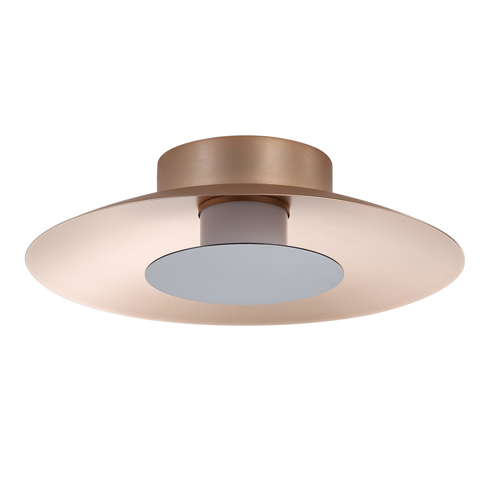 Yep by Golden Lighting Luma Integrated LED Flush Mount in French Gold and Graphite shade