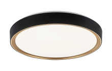 Matteo Lighting M10602BKGL - Alamus Ceiling Mount