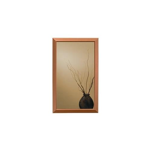 Specialty, Recessed, 25-1/2 in.W x 14 in.H, Locking,Copper Frame, Flat Mirrored Door.