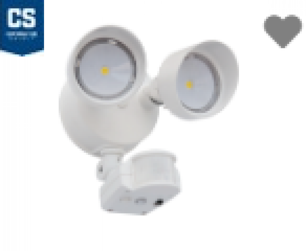 LED SECURITY FLOODLIGHT