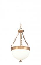 Hudson Valley 324-HB - Barrington Pendant