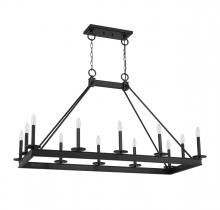 Lighting One US V6-L1-2102-12-89 - Boylston 12-Light Linear Chandelier in Matte Black