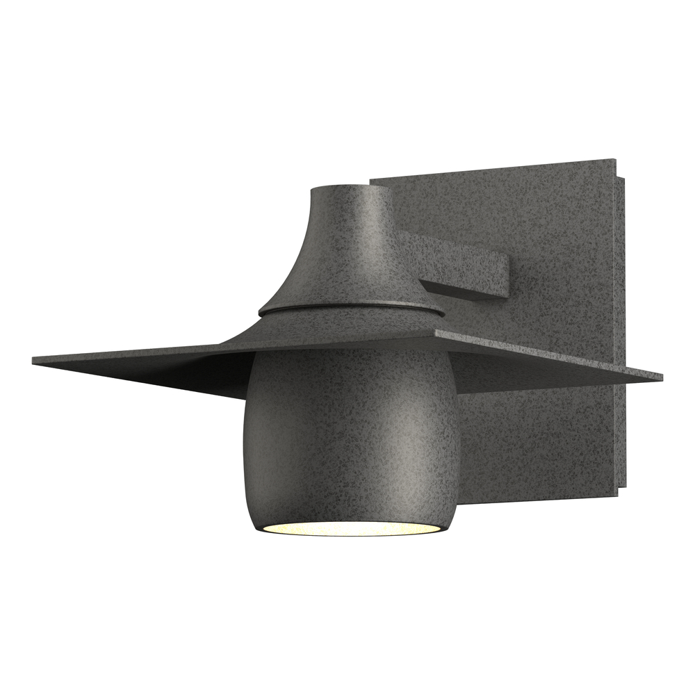 Hood Dark Sky Outdoor Sconce