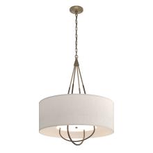Hubbardton Forge 104230-SKT-84-05-SE2811 - Loop Pendant