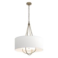 Hubbardton Forge 104230-SKT-84-84-SF2811 - Loop Pendant