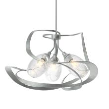 Hubbardton Forge 137855-SKT-MULT-82-ZM0621 - Nest Pendant