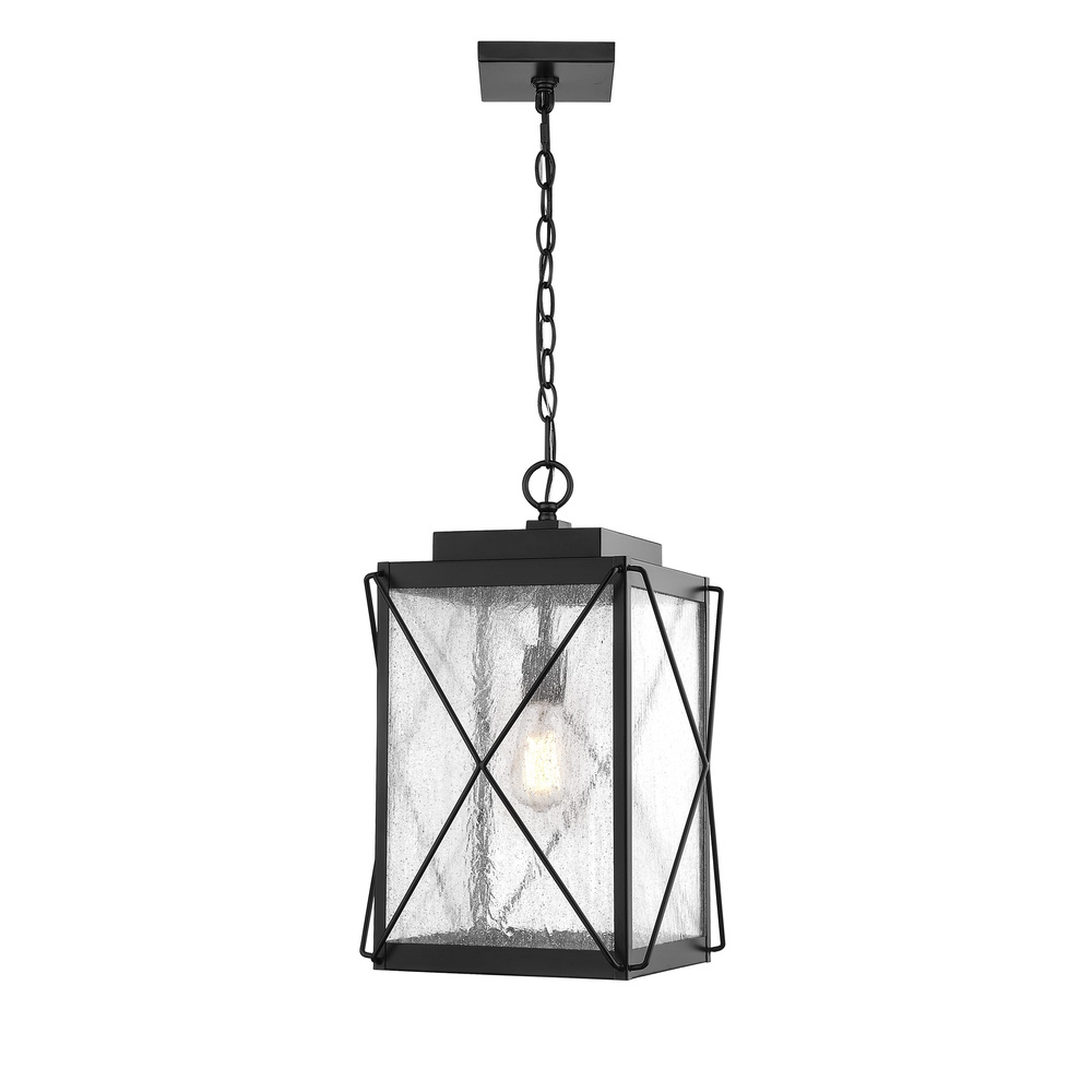 Robinson 1-Light Outdoor Hanging Lantern Powder Coated Black
