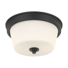 Millennium 64102WG-MB - Strayhan 13" Wide 2-Light Flush Mount
