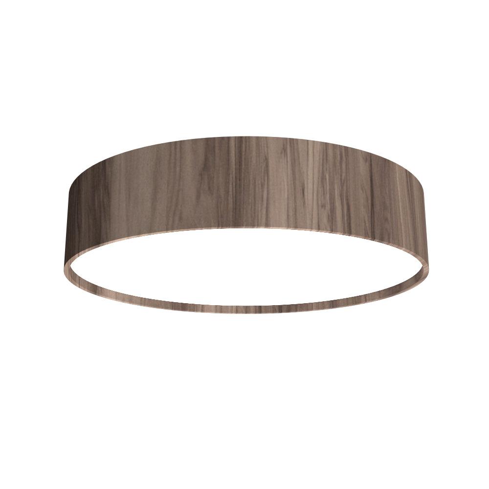 Cylindrical Accord Ceiling Mounted 5014 LED