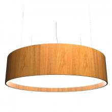 Accord Lighting 205LED.09 - Cylindrical Accord Pendant 205 LED